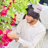 latfullahmashal