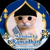 kucing_baikhat1