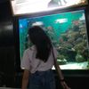 srigtya