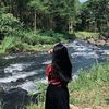 plyncssa_