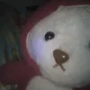 cat_not_forget