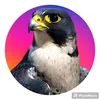 alshaahin_313