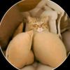 iwanttoohmkuy