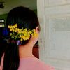 shwesin5393
