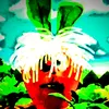 sirun_3000