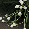 lili292735