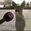 5eb_fr