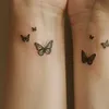 cataleya123zww