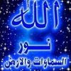 salwalahmer340
