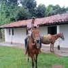 fabriciorodrigues209