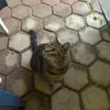 kouzelnik_k