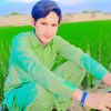 alihussan7895