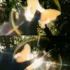 iwannayourlover_364l