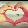 user3176752750490