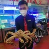 tuan.ho437