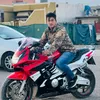 shvan_pzhdary