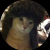 amazing_cat17