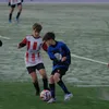 nicoboedoastudill