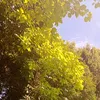 alx._05