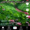 user5323613997343