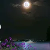 xfvfhuydtu85g68