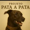 andarilhourbano.com