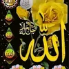 user4996829471348