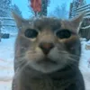 lastwish_2037