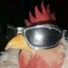 birdguy99