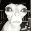 robertstanley201356