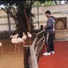 alsiki.ali.ismail