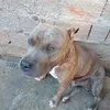 altamirodossantos07