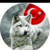 glcannerzkaradeni