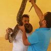 amir.hamza0562