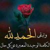 user6691996959961