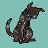 horse._.lover._.123