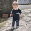 angahjoee