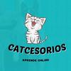 GIMNASIOS Y CASAS PARA GATOS