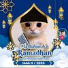 rediredi196