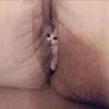 wean.cat