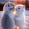 emran_eem