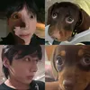 shitcute_phomaique