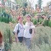 danit.adrong