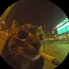zanya_jdjd