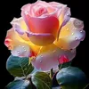 abdul.samad668