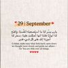 user8443035631771