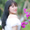 hongmai497