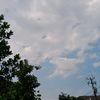 aprill_393