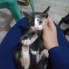 nurulsukmah.urai_utami