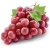 grape178392